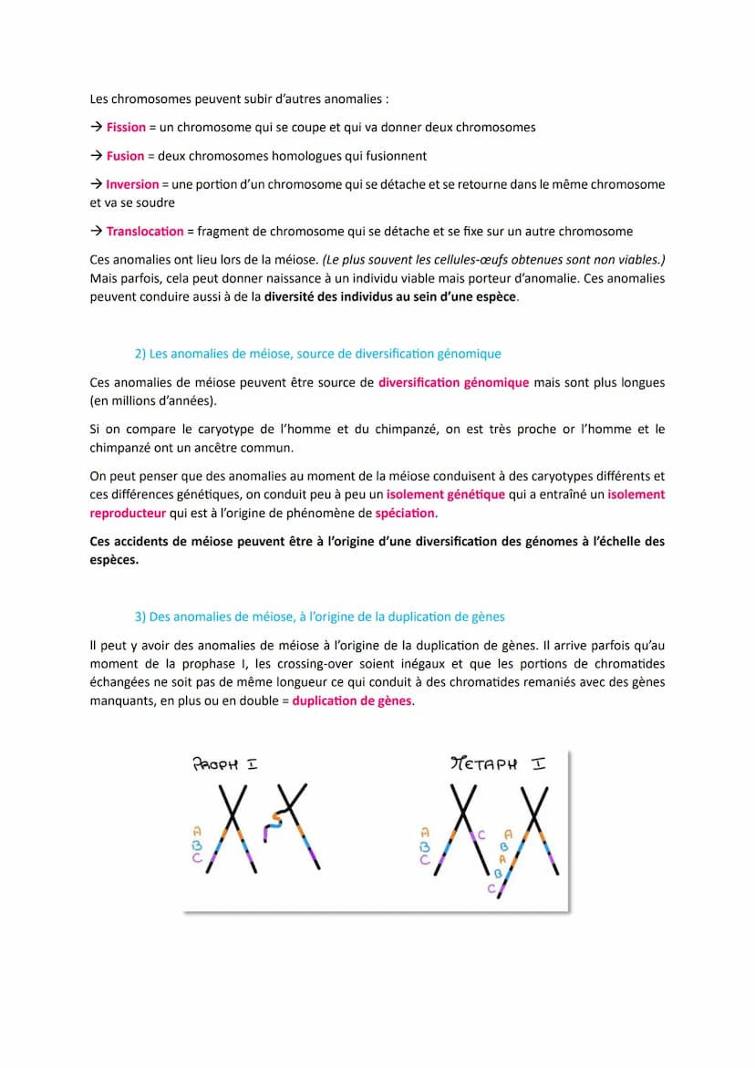 L'origine du génotype des individus
Comment la reproduction sexuée forme-t-elle des génomes individuels et contribue-t-elle à la
diversifica