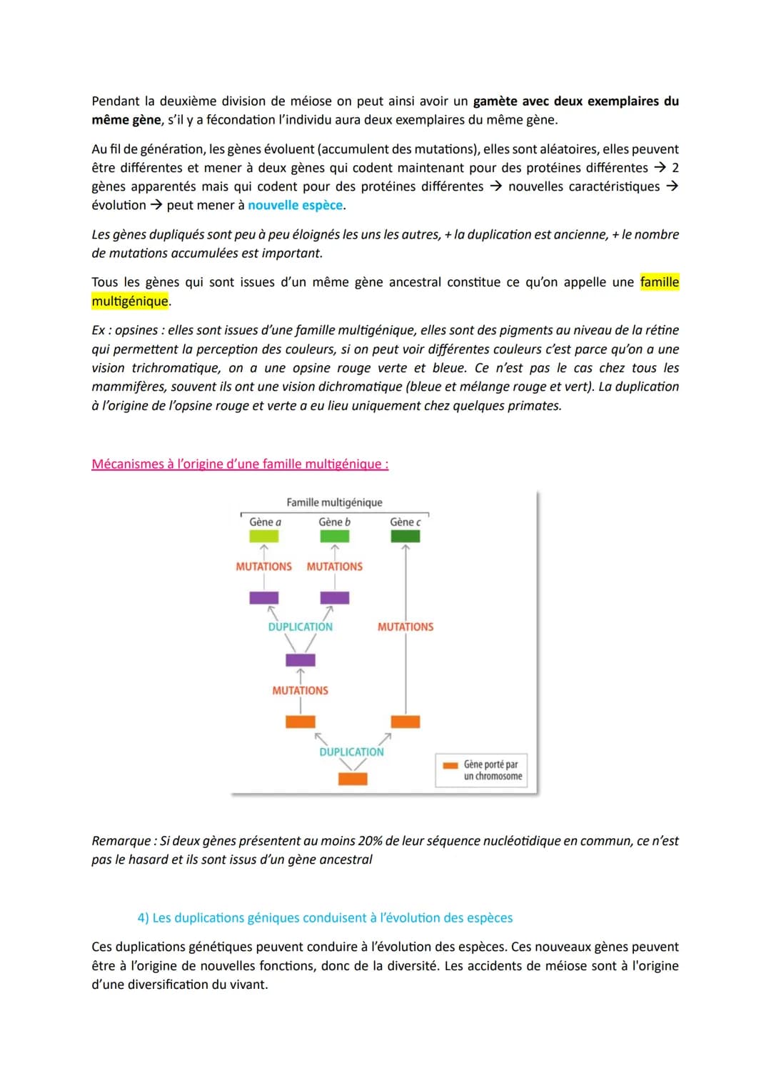 L'origine du génotype des individus
Comment la reproduction sexuée forme-t-elle des génomes individuels et contribue-t-elle à la
diversifica