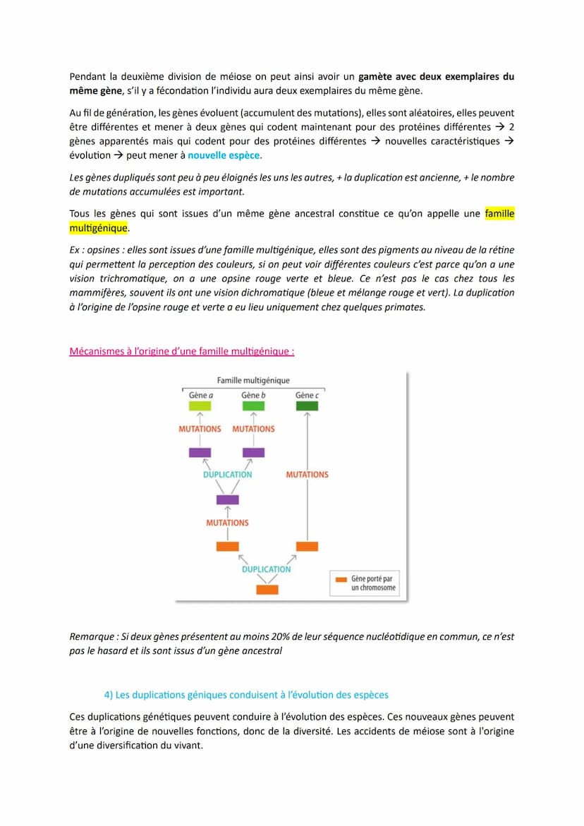 L'origine du génotype des individus
Comment la reproduction sexuée forme-t-elle des génomes individuels et contribue-t-elle à la
diversifica
