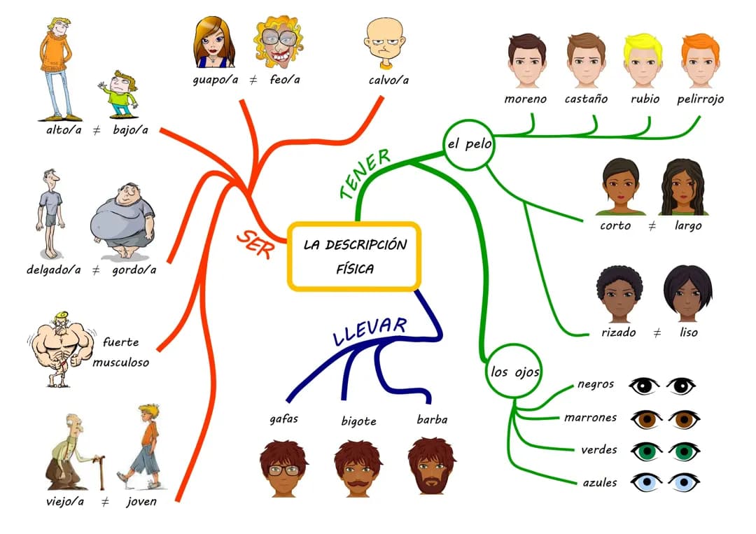 Guía Fácil para Describir una Persona en Español: Vocabulario y Ejemplos