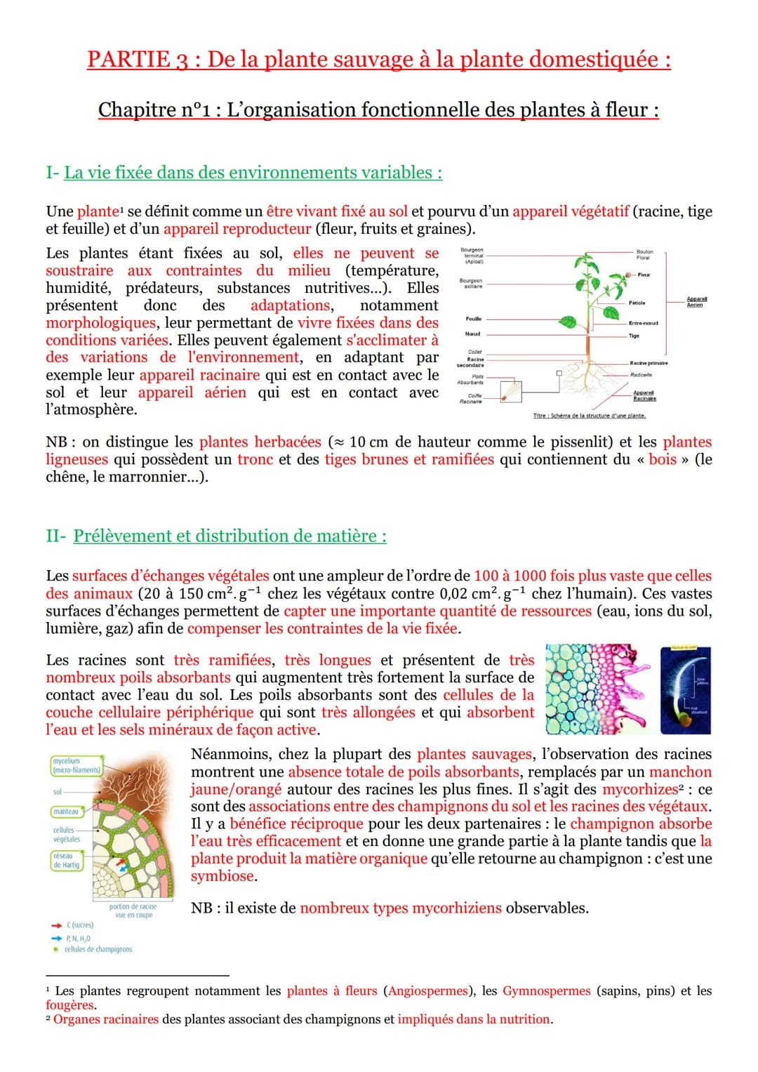 I- La vie fixée dans des environnements variables :
Une plante¹ se définit comme un être vivant fixé au sol et pourvu d'un appareil végétati