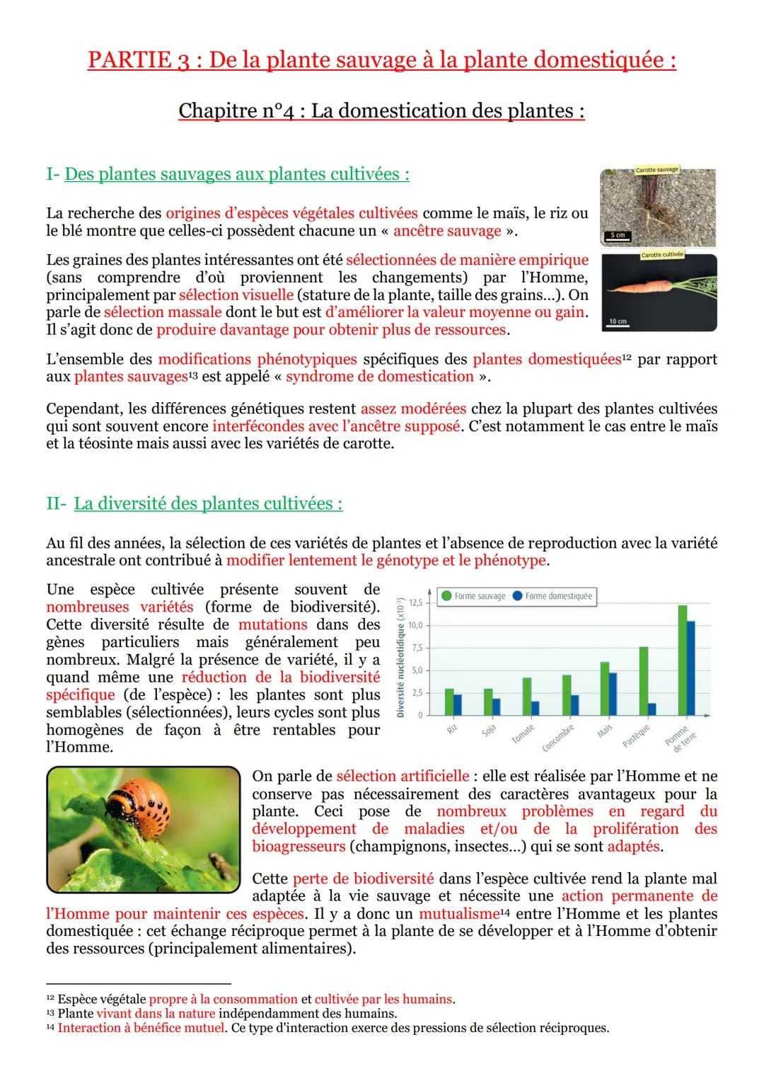 I- La vie fixée dans des environnements variables :
Une plante¹ se définit comme un être vivant fixé au sol et pourvu d'un appareil végétati