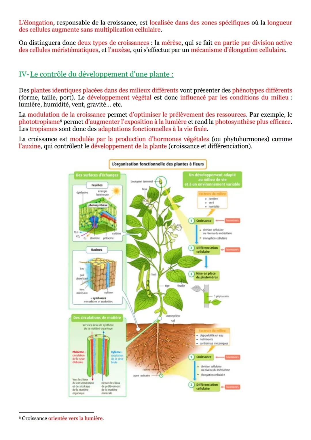 I- La vie fixée dans des environnements variables :
Une plante¹ se définit comme un être vivant fixé au sol et pourvu d'un appareil végétati