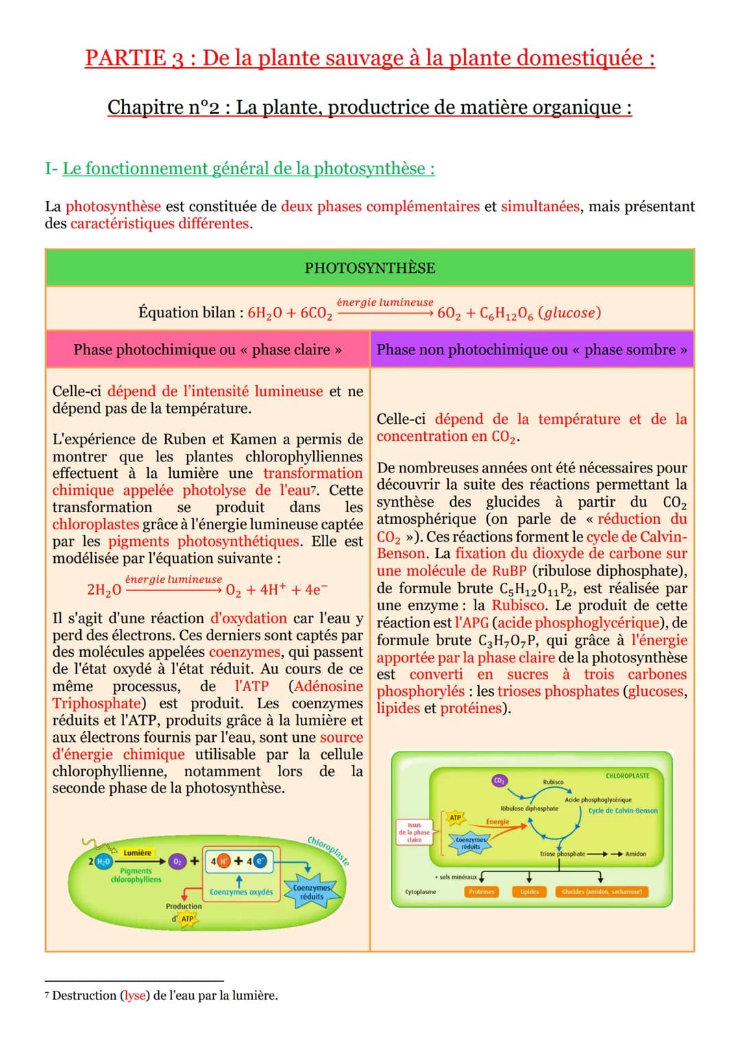 I- La vie fixée dans des environnements variables :
Une plante¹ se définit comme un être vivant fixé au sol et pourvu d'un appareil végétati