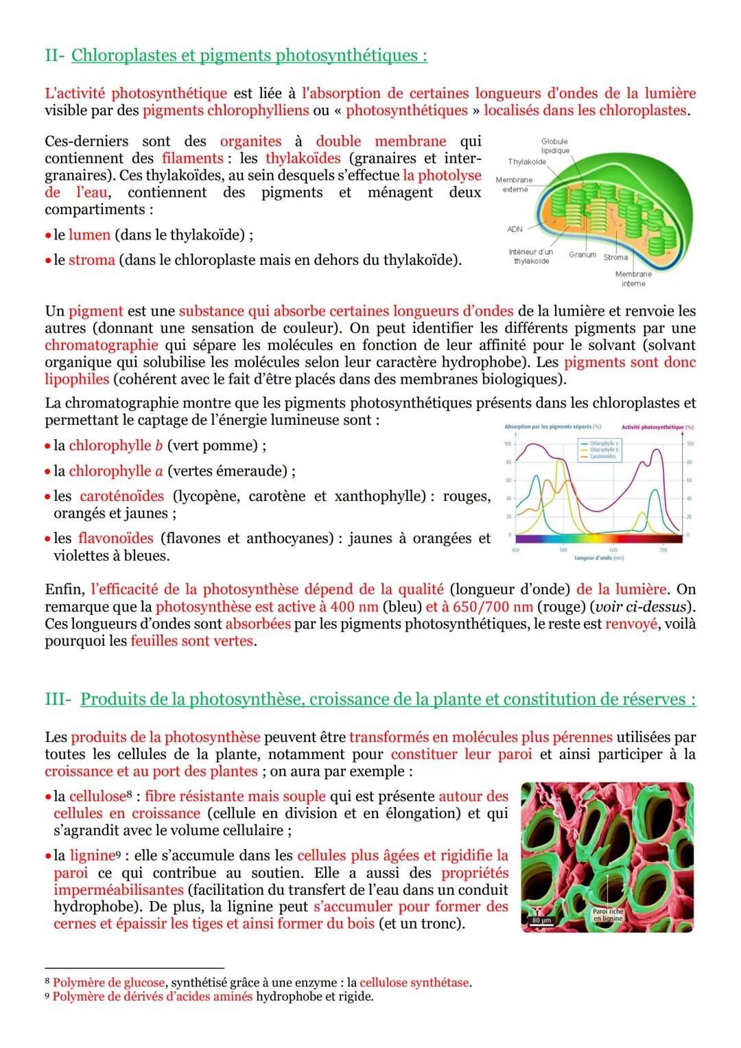 I- La vie fixée dans des environnements variables :
Une plante¹ se définit comme un être vivant fixé au sol et pourvu d'un appareil végétati