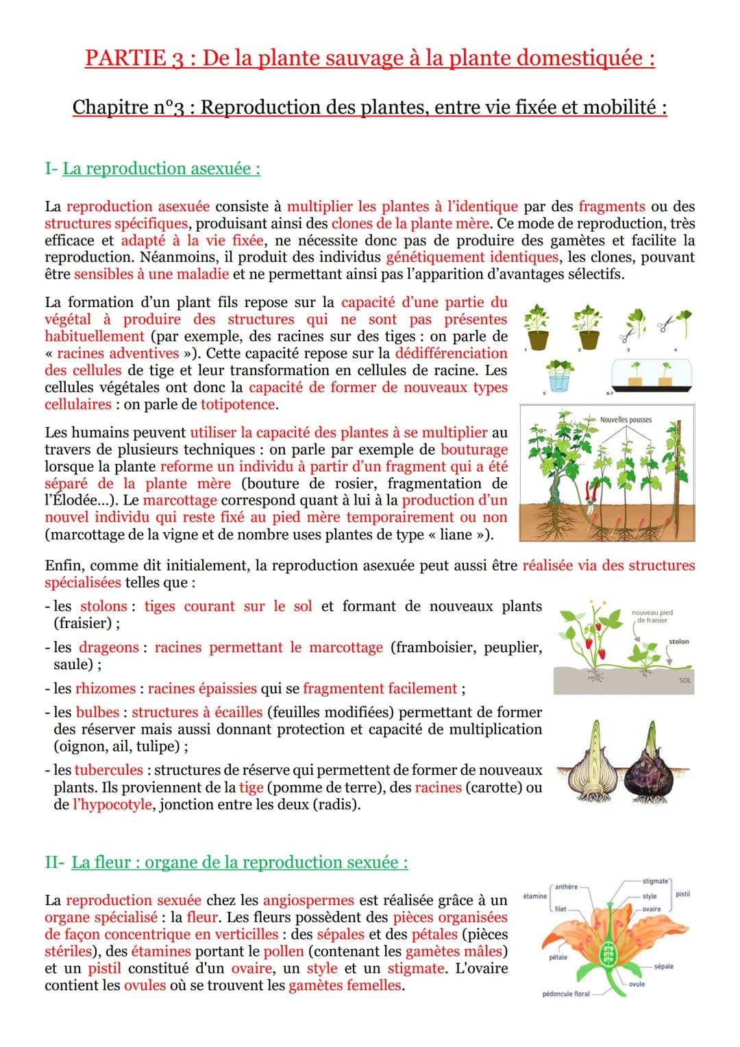 I- La vie fixée dans des environnements variables :
Une plante¹ se définit comme un être vivant fixé au sol et pourvu d'un appareil végétati