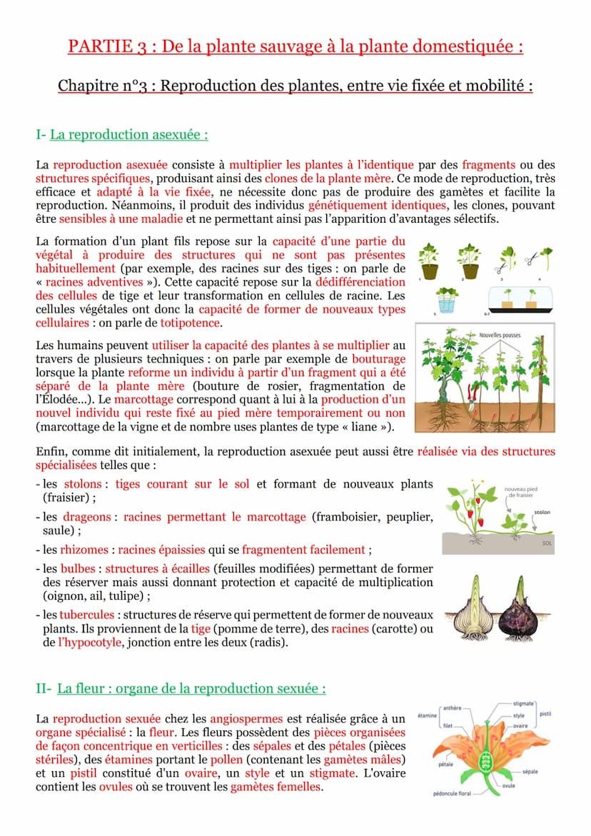 I- La vie fixée dans des environnements variables :
Une plante¹ se définit comme un être vivant fixé au sol et pourvu d'un appareil végétati
