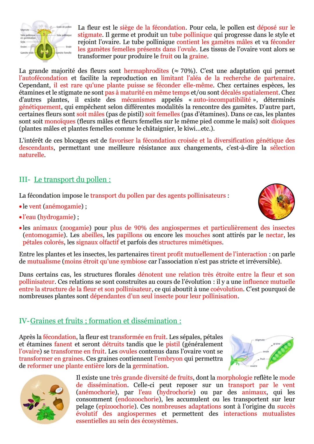 I- La vie fixée dans des environnements variables :
Une plante¹ se définit comme un être vivant fixé au sol et pourvu d'un appareil végétati