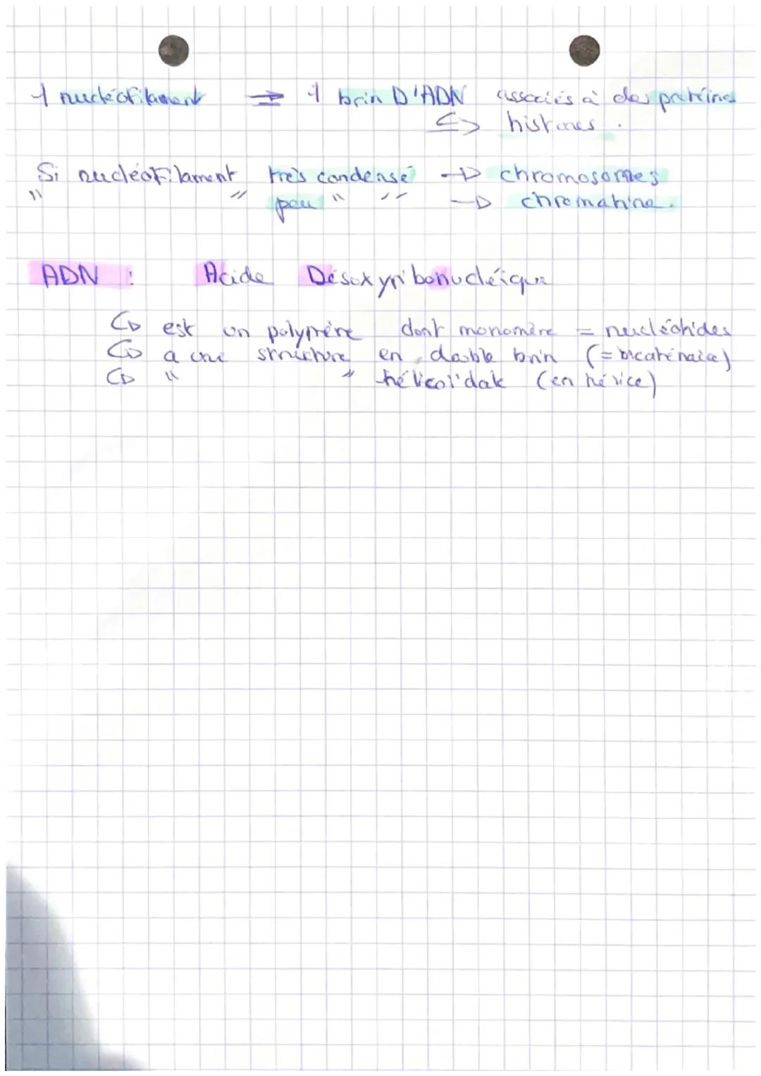 # L'INFORMATION GÉNÉTIQUE
ET SON EXPRESSION

info gene lique d'1 individer =D genome, localisée dans le moyen

peut être obscrvé sous 2 Form