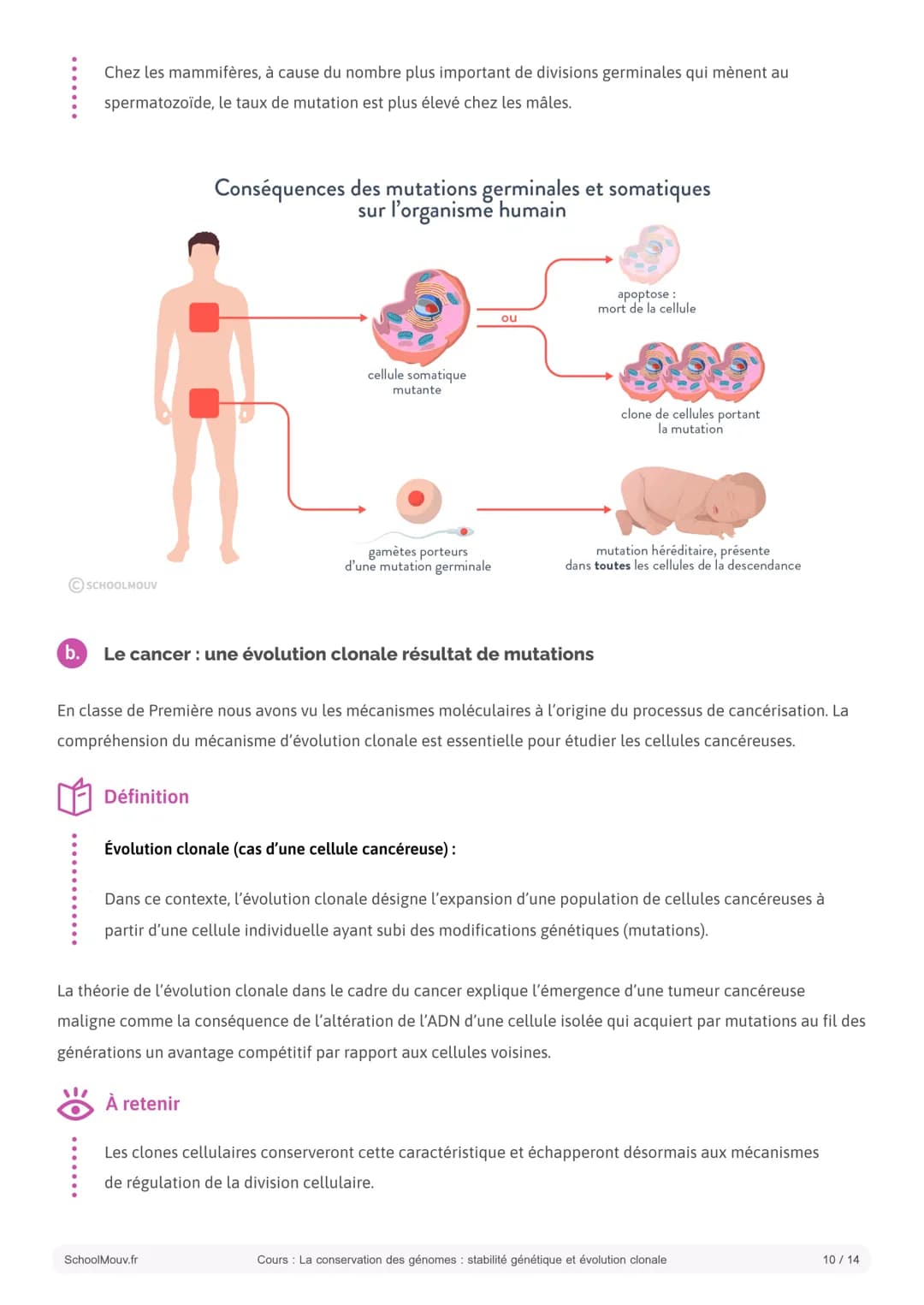 S SCHOOLMOUV
Cours
La conservation des génomes: stabilité
génétique et évolution clonale
Introduction:
La cellule est l'unité fonctionnelle 