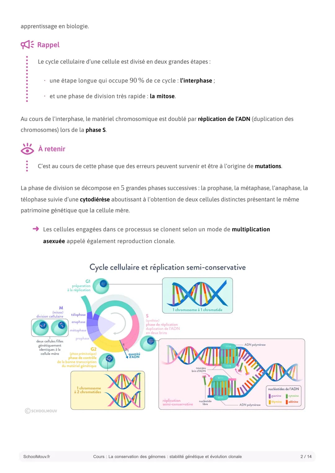 S SCHOOLMOUV
Cours
La conservation des génomes: stabilité
génétique et évolution clonale
Introduction:
La cellule est l'unité fonctionnelle 