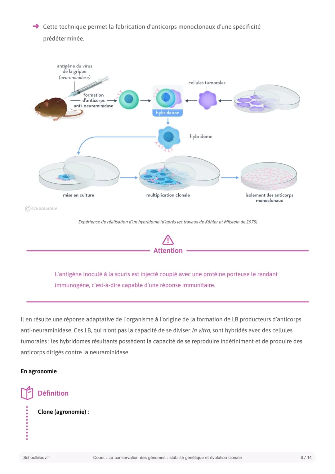 S SCHOOLMOUV
Cours
La conservation des génomes: stabilité
génétique et évolution clonale
Introduction:
La cellule est l'unité fonctionnelle 