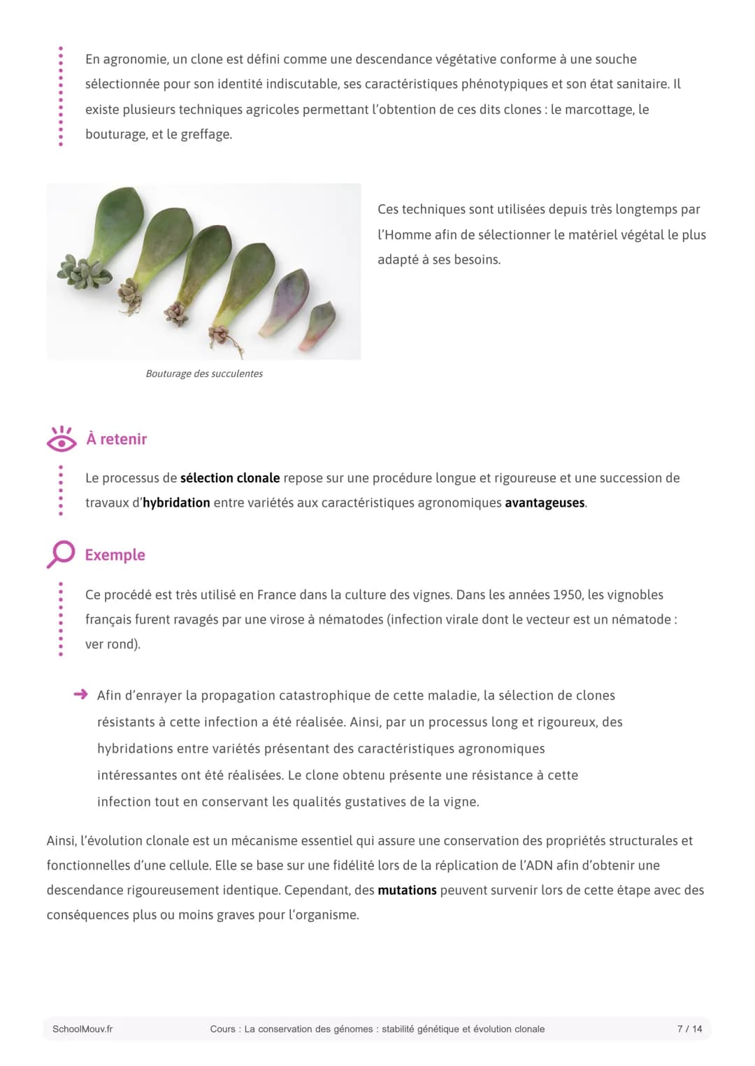 S SCHOOLMOUV
Cours
La conservation des génomes: stabilité
génétique et évolution clonale
Introduction:
La cellule est l'unité fonctionnelle 
