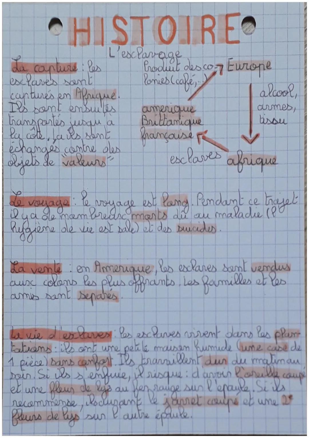 Fiche de révision ESCLAVAGE 🌷
