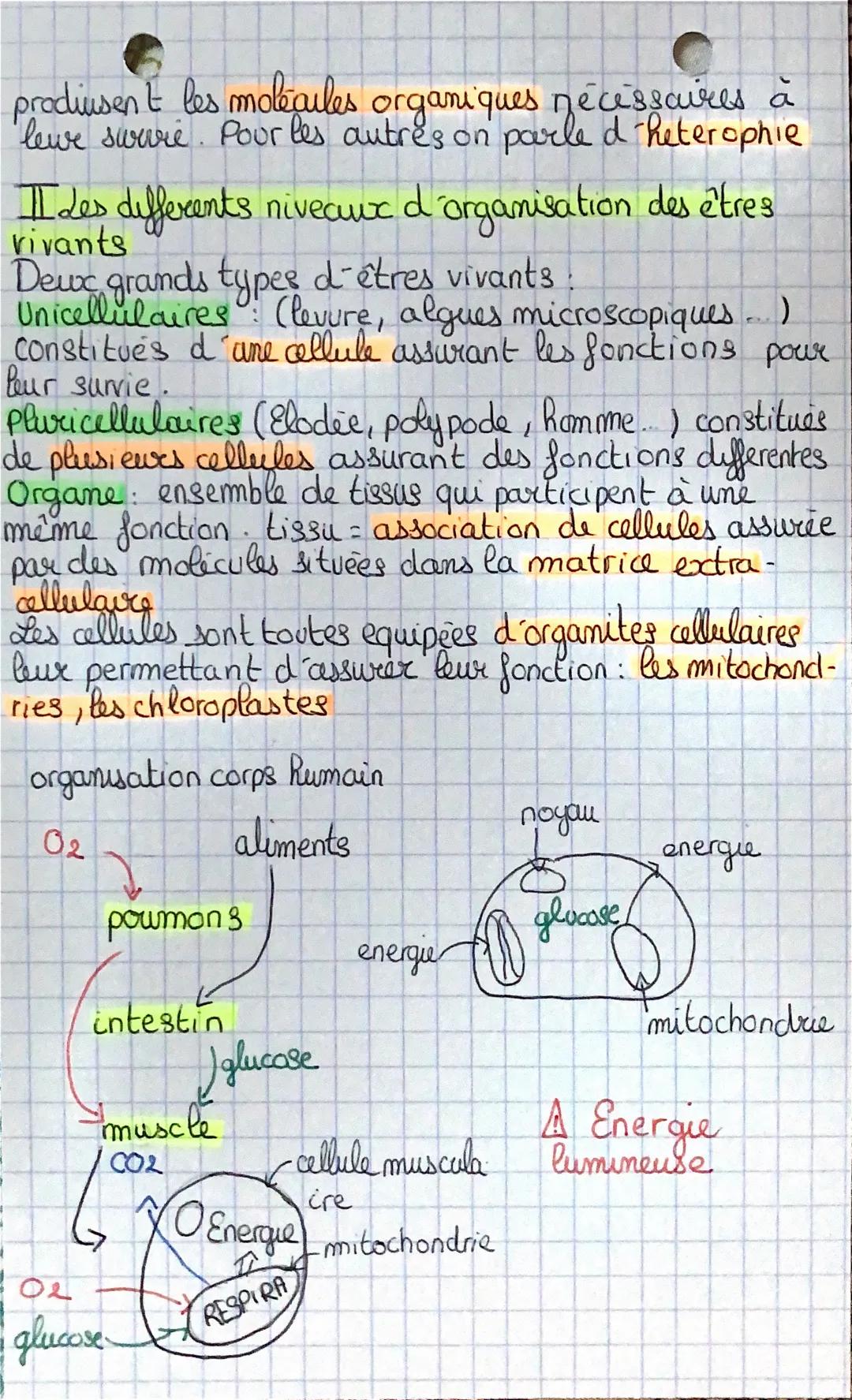 Chap 1
to
Iet I
voies métaboliques:
Ensemble de transformations
qui se déroulent dans une cellule
Respiration métabolisme qui permet la prod