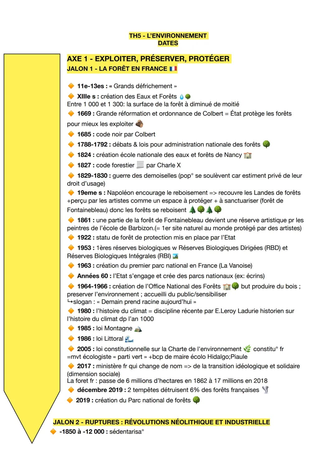 TH5 - L'ENVIRONNEMENT
DATES
AXE 1 - EXPLOITER, PRÉSERVER, PROTÉGER
JALON 1 - LA FORÊT EN FRANCE I
11e-13es: << Grands défrichement >>
XIlles