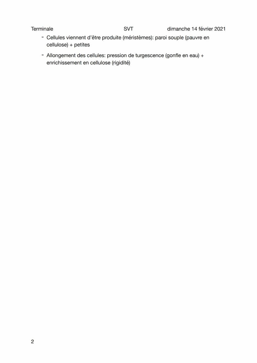 Terminale
Croissance des plantes
SVT
Sujet général
Méristèmes (production de cellules) (merèse)
• Zone à activité mitotique très intense + a