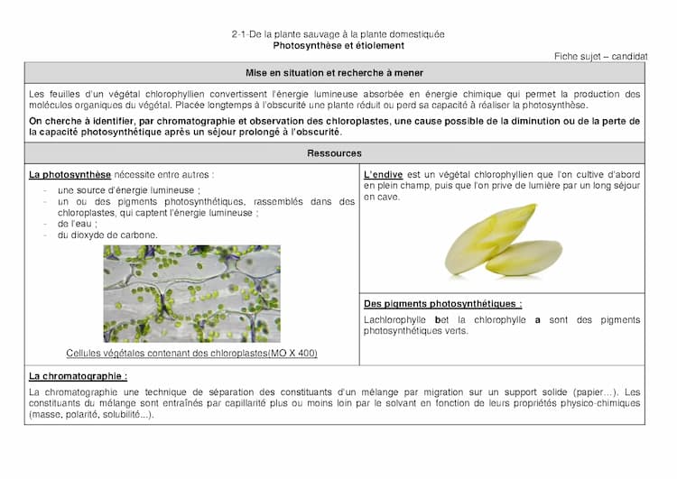 Know Corrigé d'un ECE pour le bac :  Photosynthèse et étiolement thumbnail