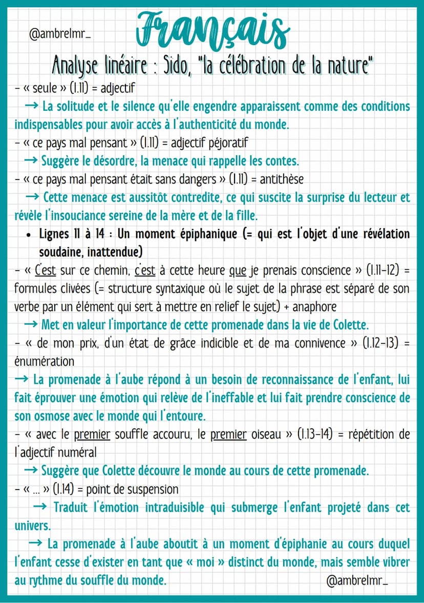 @ambrelmr_
Français
Analyse linéaire : Sido, "la célébration de la nature"
INTRODUCTION
Présentation du texte :
→ Auteur : Colette, de son v