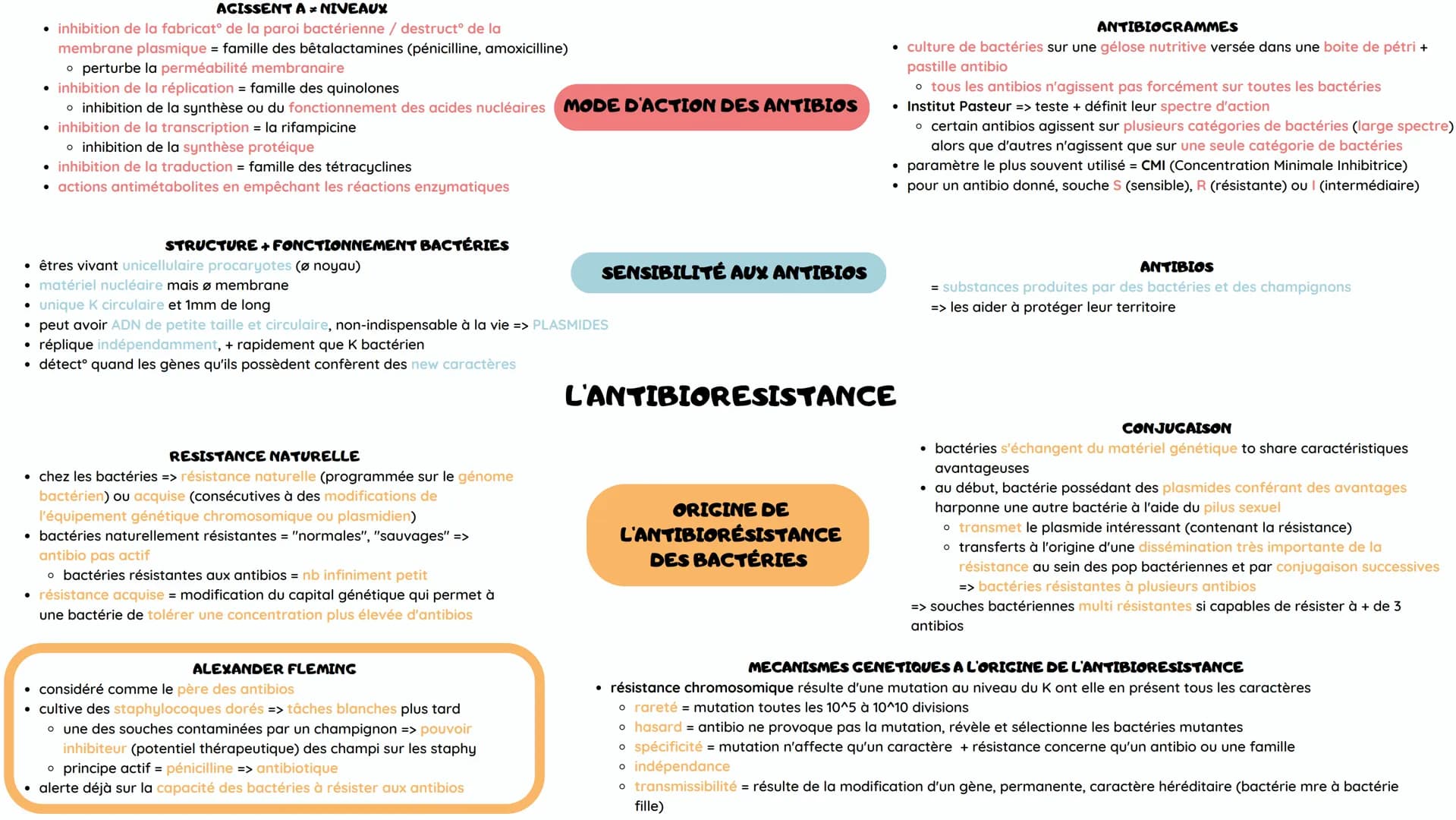 AGISSENT A = NIVEAUX
• inhibition de la fabricatº de la paroi bactérienne / destructº de la
membrane plasmique = famille des bêtalactamines 