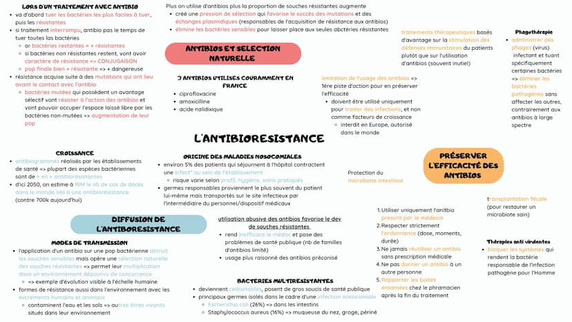 AGISSENT A = NIVEAUX
• inhibition de la fabricatº de la paroi bactérienne / destructº de la
membrane plasmique = famille des bêtalactamines 