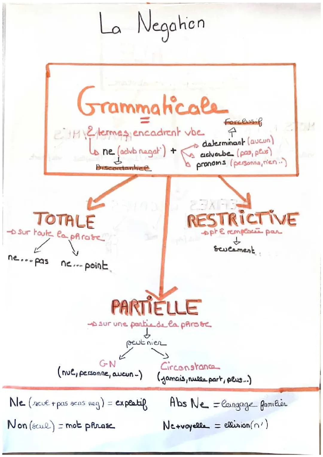 La négation français 1ère : Exercices et Fiches PDF