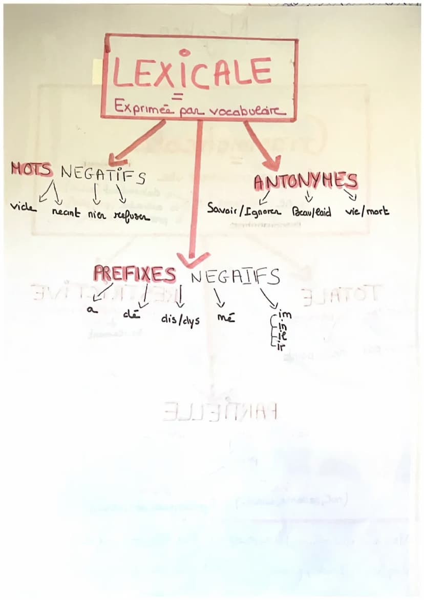 La Negation
Grammaticale
2H2 termes encadrent vbe
"Io ne (advb negat') +
↓
Discordantiee
TOTALE
Sur toute la phrase
Zap
ne...pas ne... point