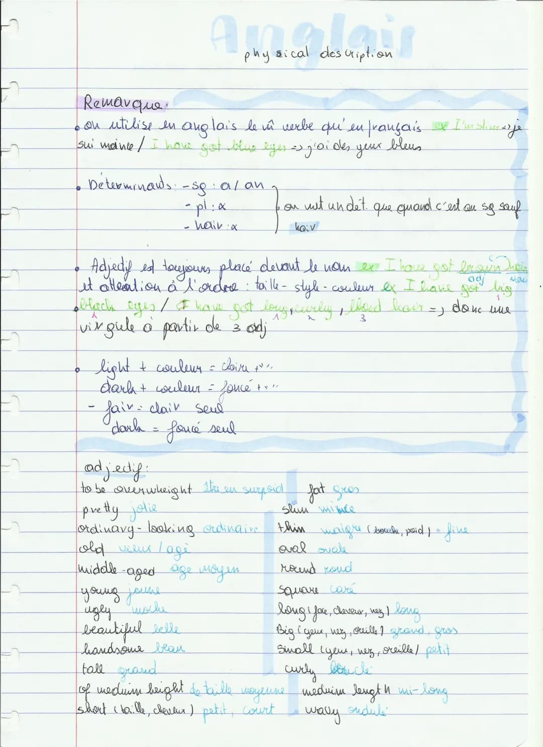 Remarque
。 on utilise en anglais le in verbe qu'en français I'mslimeje
sui maince / I have got blue eyes es j'ai des yeux bleus
Déterminants