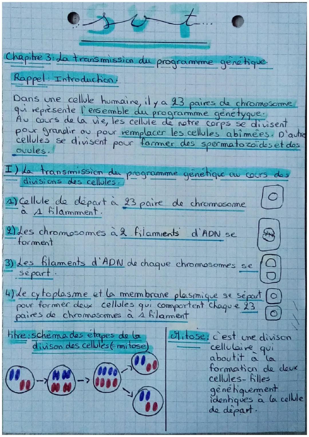 La transmission du programme génétique 