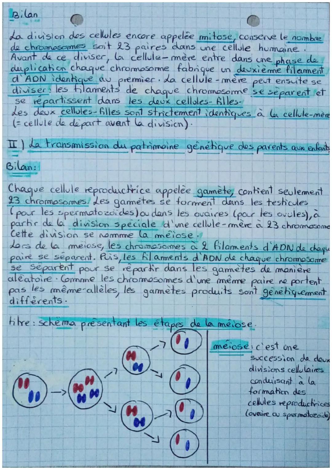 Chapitre 3: La transmission du programme genétique.
Rappel Introduction
Dans une cellule humaine, il y a 23 paires de chromosome
qui représe