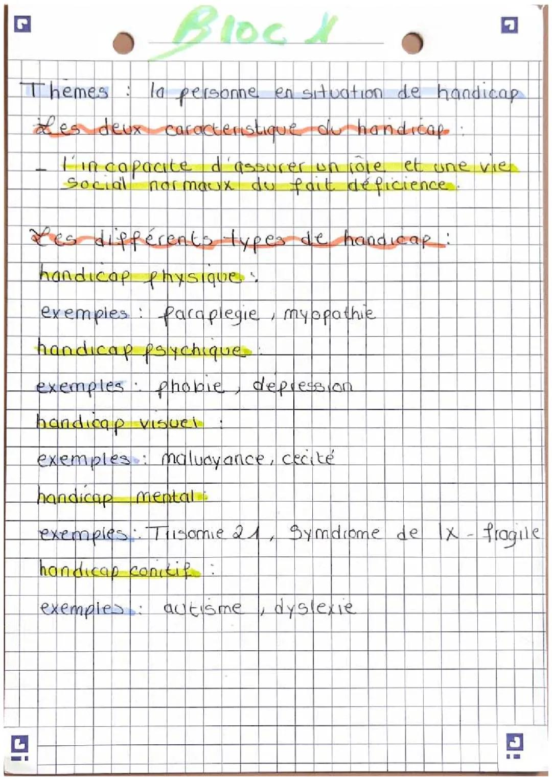 la personne en situation de handicap 