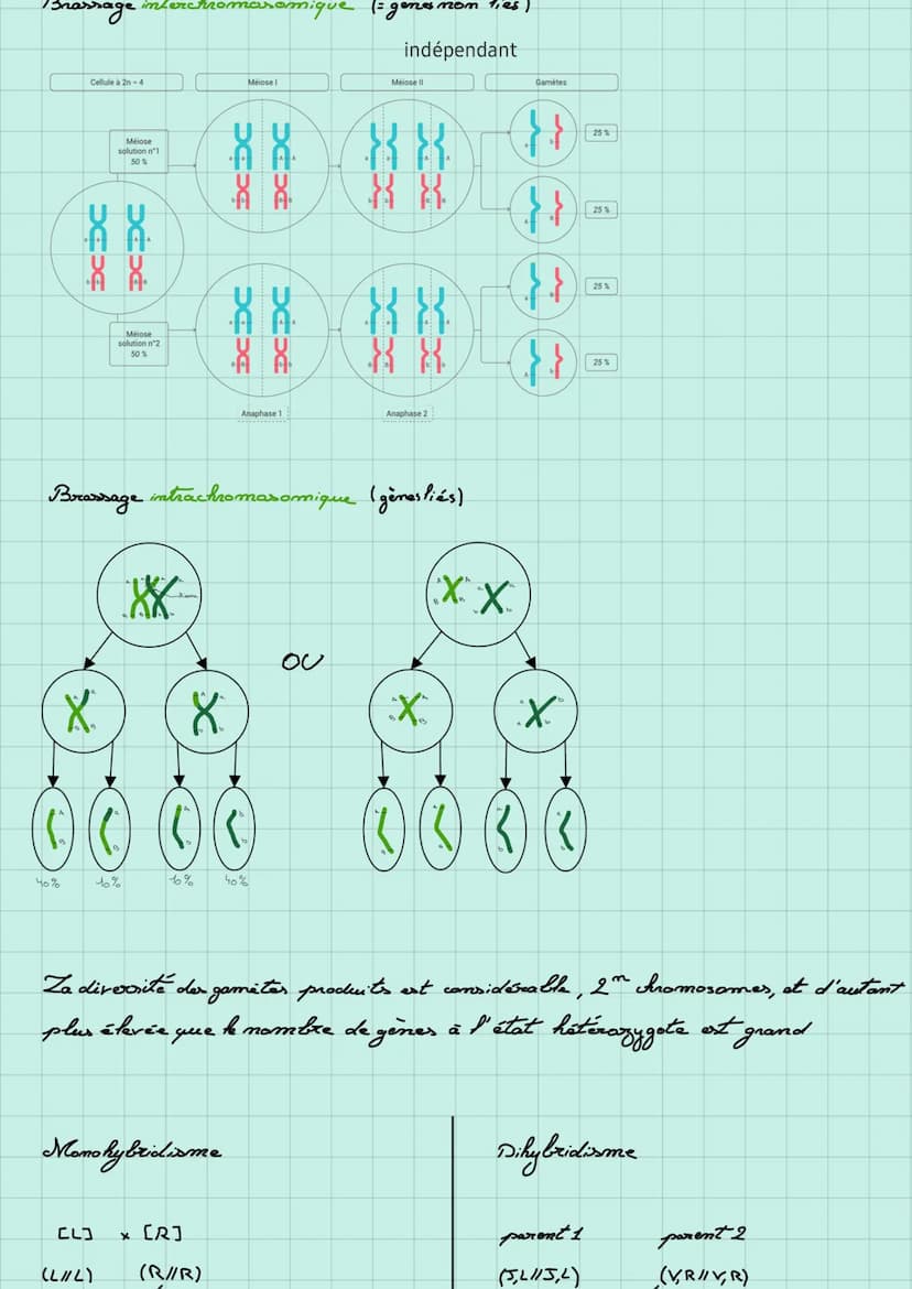 Cytologie = tous for mécanismes un niveau cellulaire
mitos Ocfome
Ocfone
mere
mitose
Origine du genotype d'un individu.
mitose
come
(Some
mi