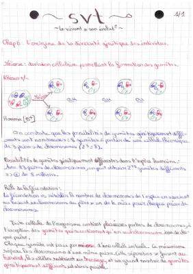 Know SVT : L’origine de la diversité génétique des individus thumbnail