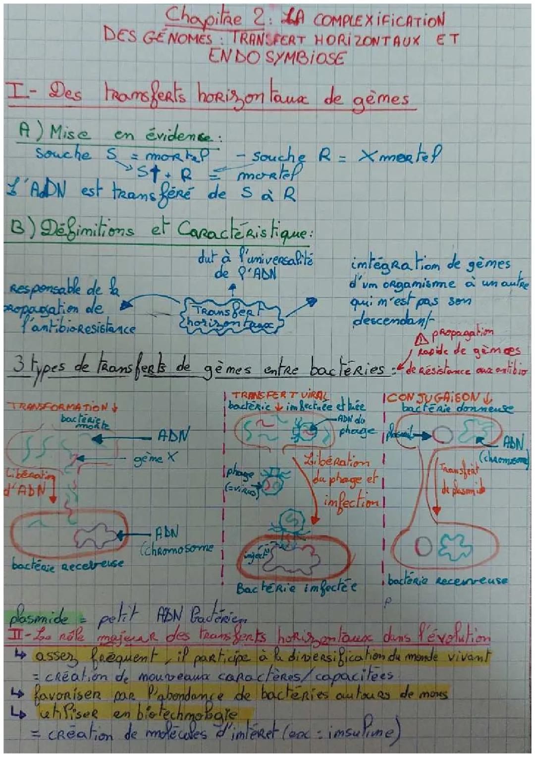Chapitre 2: La Complexification du génomes: transfert horizontaux et endosymbiose 