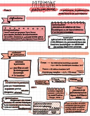 Know Chapitre 2 Thème 1 - Patrimoine, la préservation entre tensions et concurrences  thumbnail