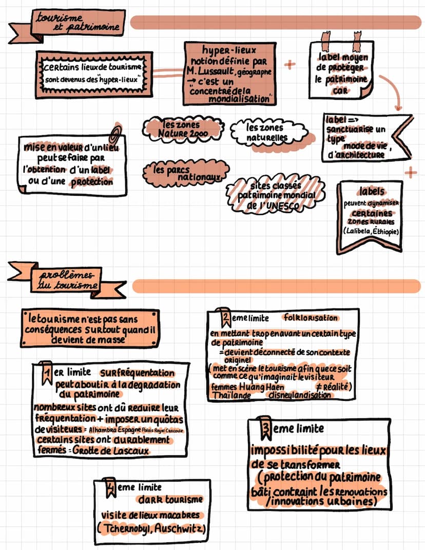 Fiche 3
definitions
O
disneylandisation:
terme inventé par geograpne Sylvie Brunel
pour decaire processus de transformation
des sociétés, te