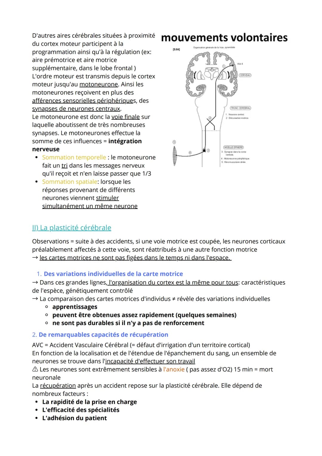 Thème 3 Corps humain et santé
Chapitre 3: Motricité volontaire et plasticité cérébrale
1) De la volonté au mouvement
= comment le cerveau él