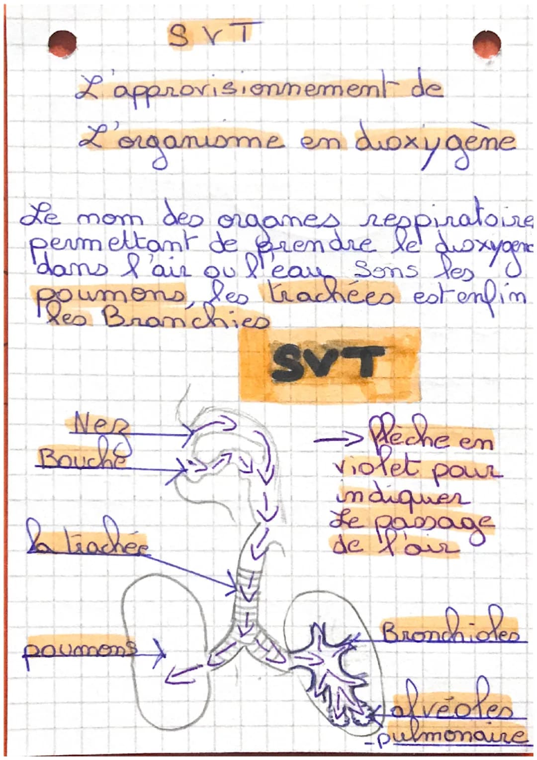 SYT
L'approvisionnement de
L'organisme en dioxy gene
Le nom des organes respiratoire
permettant de prendre le
dans l'air ou l'eau
Ples Branc