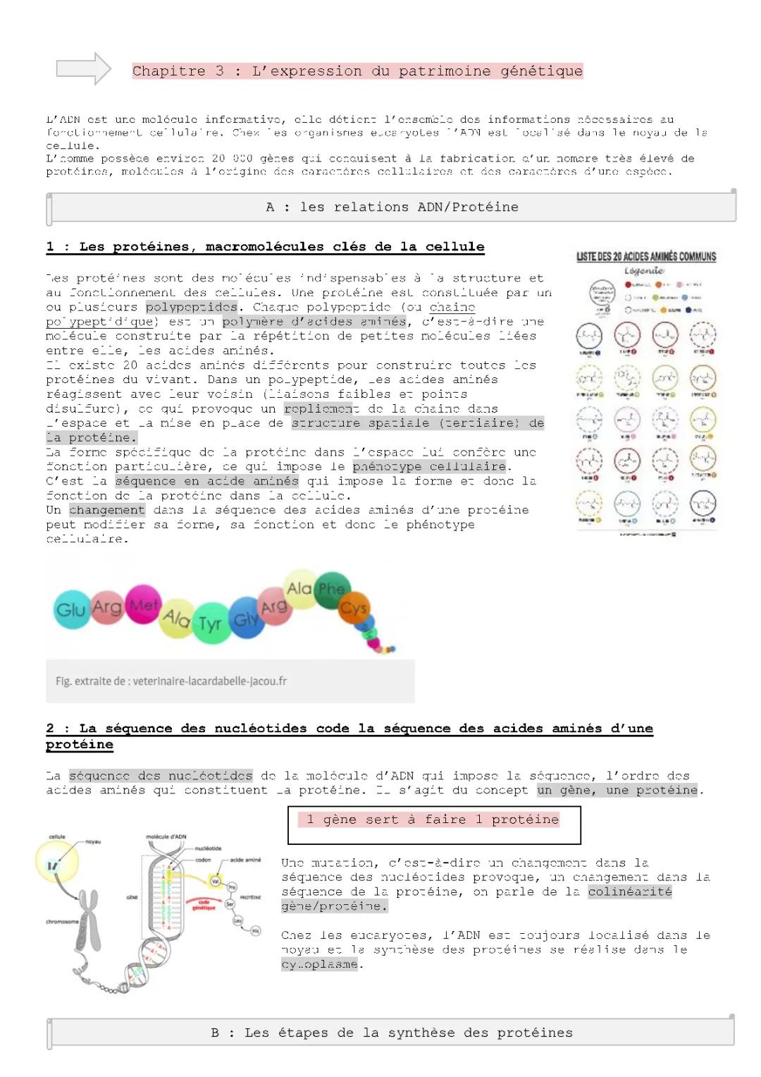 L'expression du patrimoine génétique: contrôle corrigé et exercices en PDF