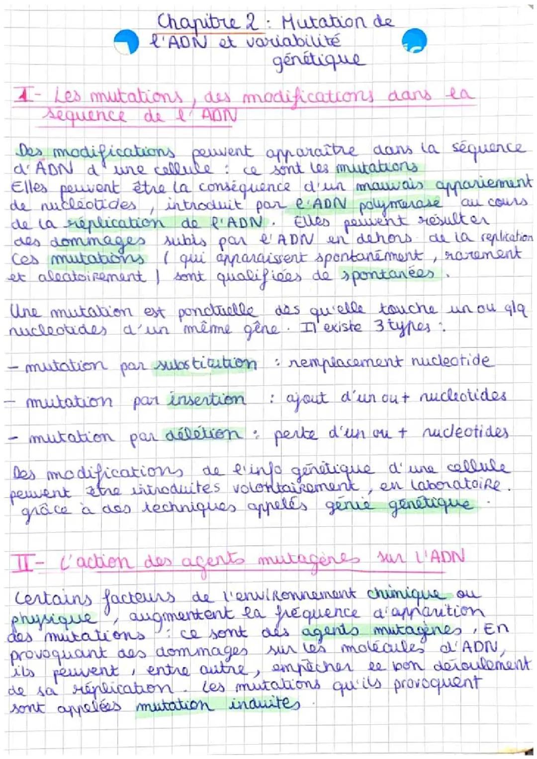 Variabilité Génétiques et Mutations ADN pour les Jeunes