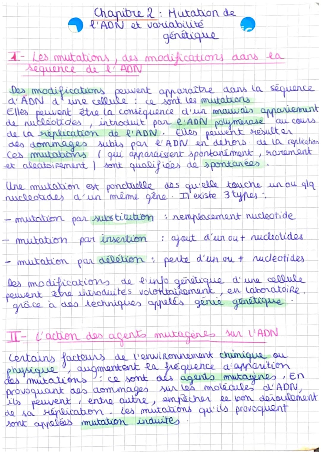 Chapitre 2 Mutation de
l'ADN et variabilité
génétique
1- Les mutations des modifications dans la
sequence de l'ADN
Des modifications peuvent