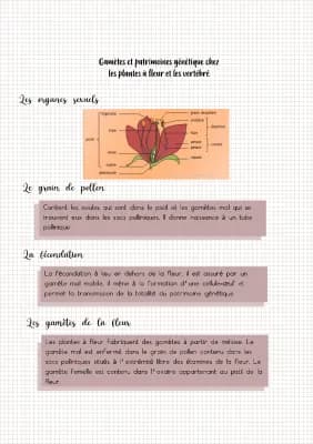 Know Gamètes et patrimoines génétique chez les plantes à fleurs et les vertébré thumbnail