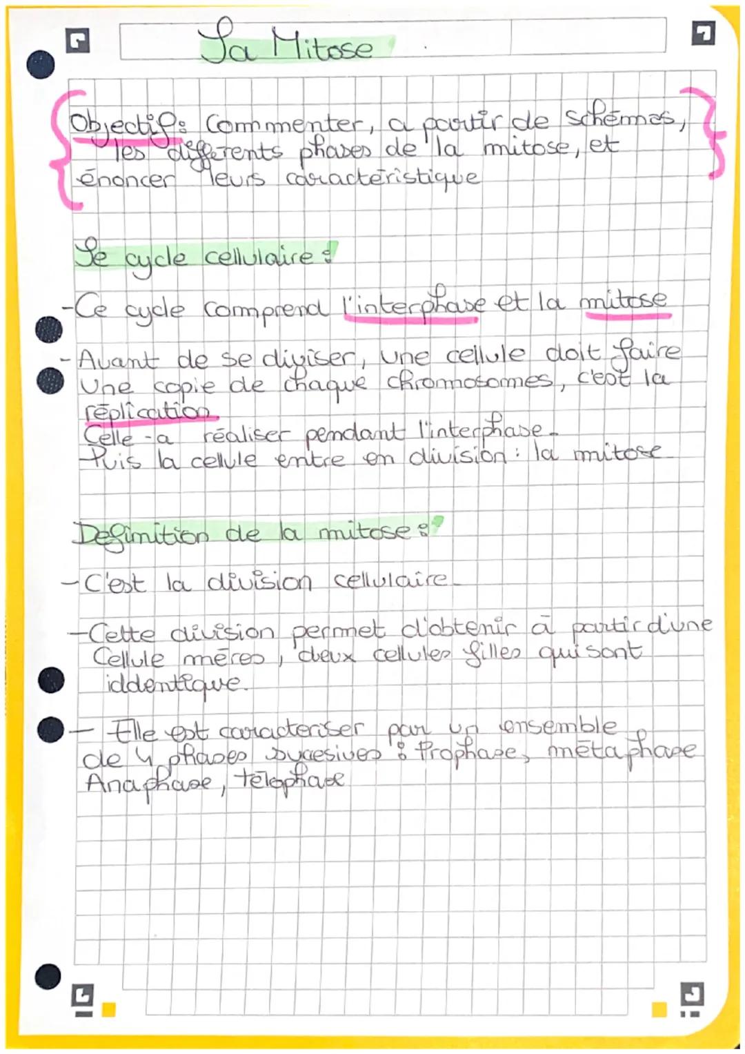 Sa Mitose

Objectifs Commenter, a porvir de schemes,
les differents differents phases de la mitose, et
énoncer leurs caractéristique.

Se cy