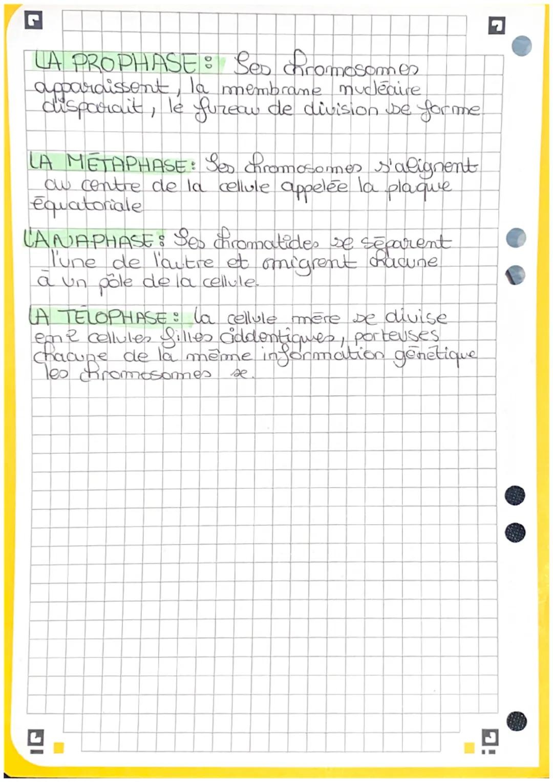 Sa Mitose

Objectifs Commenter, a porvir de schemes,
les differents differents phases de la mitose, et
énoncer leurs caractéristique.

Se cy