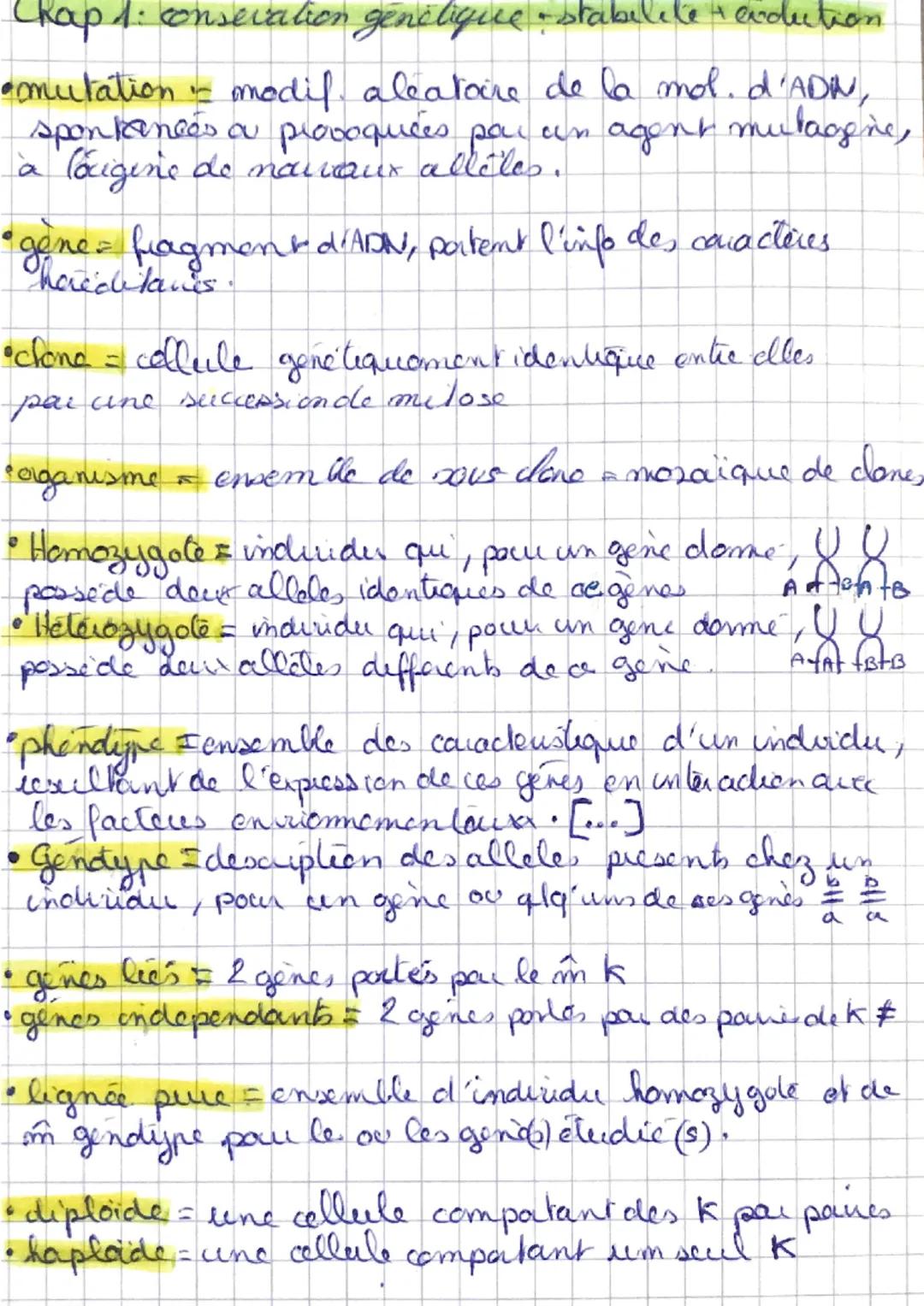 # Chap 1: consertation génétique stabilite exdution

•mutation modif aleatoire de la mol. d'ADIN,
spontanées ou provoquées par an agent muta