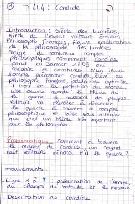 Know lecture linéaire candide  thumbnail
