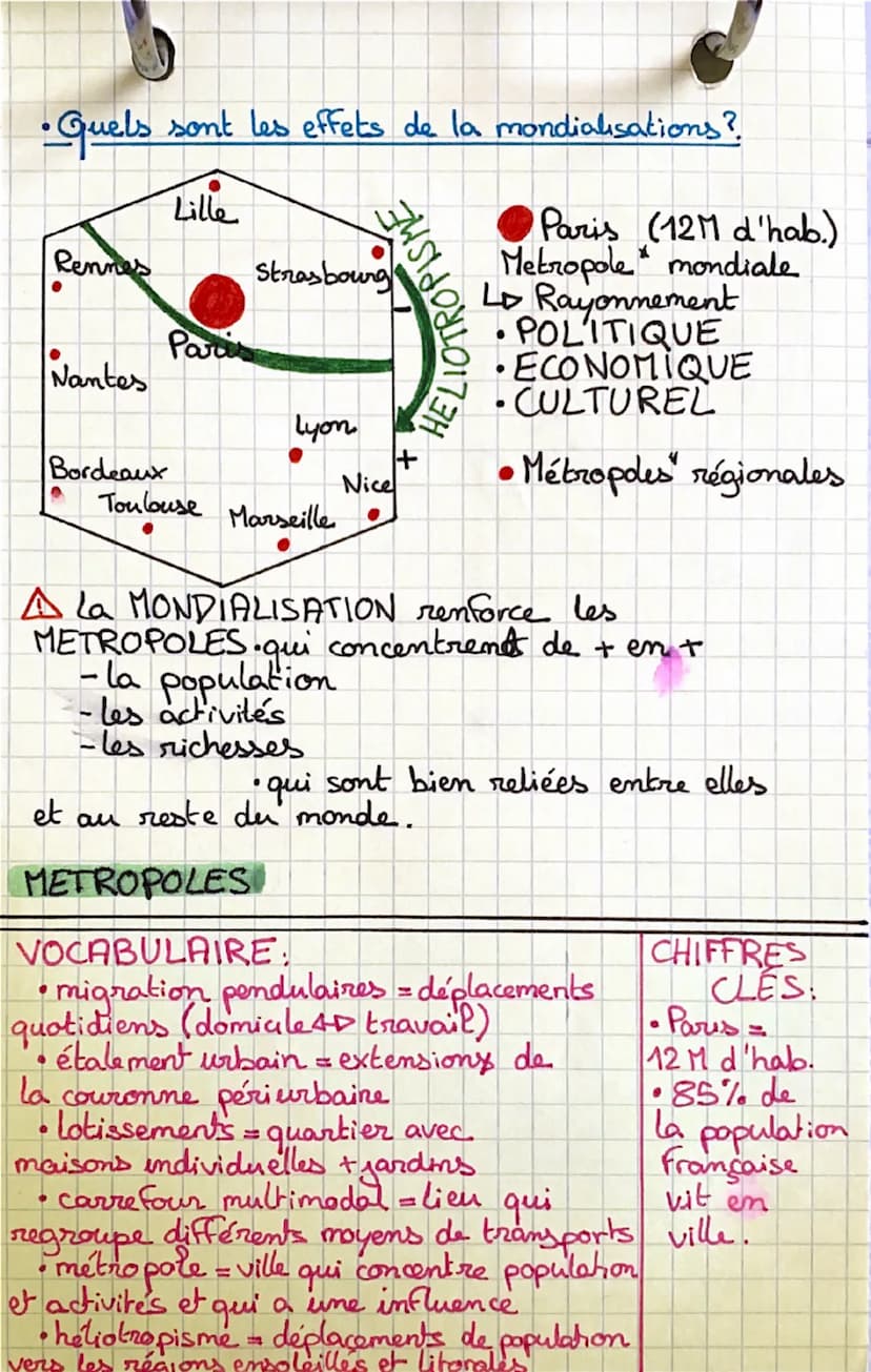 Les aires urbaines:
• C'est quoi ?
Geo
Ville-centre
(Quartier des affaires, boutiques)
Banlieue
(Immeubles collectifs, usines)
Couronne Peri