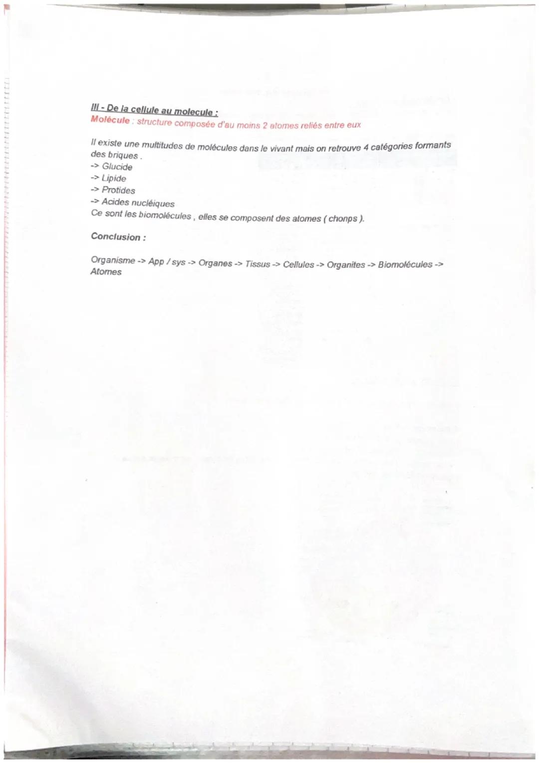 De l'organe aux molécules
I-De l'organe aux tissus :
Tissu: ensemble de cellules semblables, de même origine et assurant une fonction.
Table