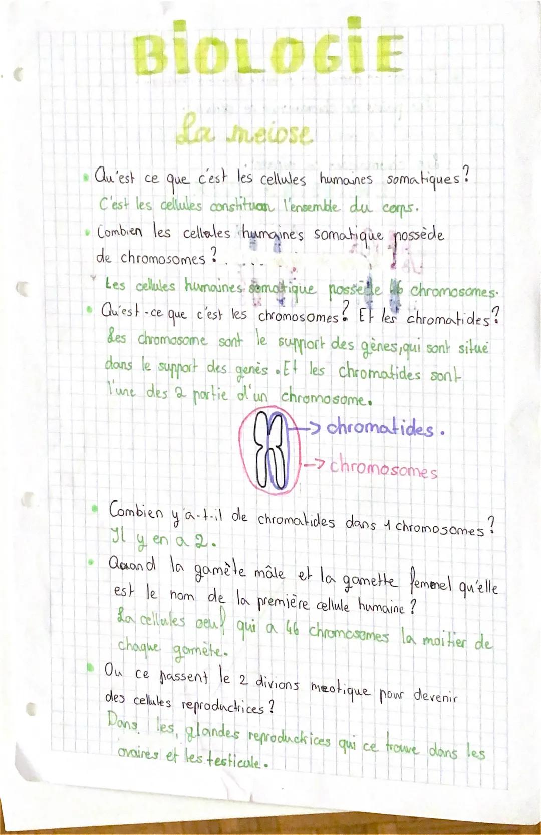 BIOLOGIE
La meiose
Qu'est ce
c'est les cellules humaines somatiques?
que
C'est les cellules constituan l'ensemble du
corps.
Combien les cell