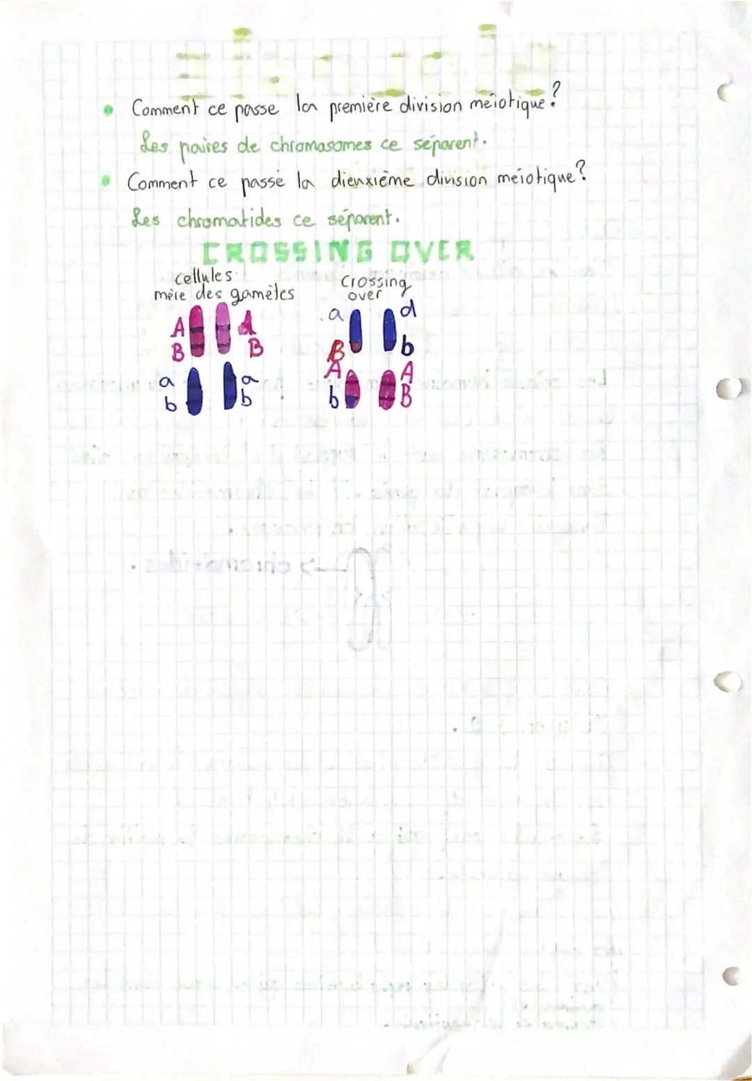 BIOLOGIE
La meiose
Qu'est ce
c'est les cellules humaines somatiques?
que
C'est les cellules constituan l'ensemble du
corps.
Combien les cell